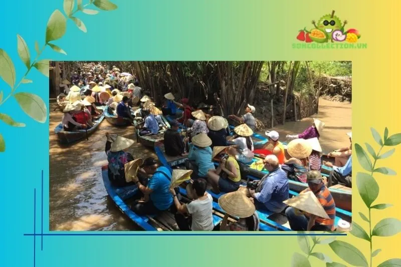 Thời điểm lý tưởng để du lịch Cồn Quy
