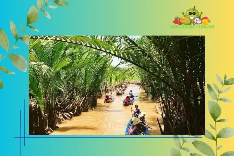 Thời gian lý tưởng để du lịch tứ linh cồn