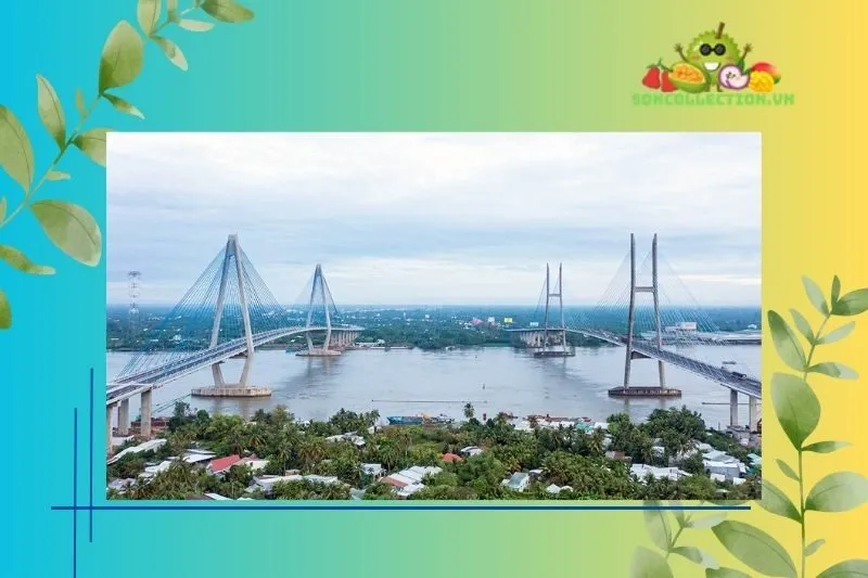 Thông số kỹ thuật của Cầu