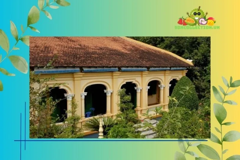Trải nghiệm tại Nhà cổ Ba Đức